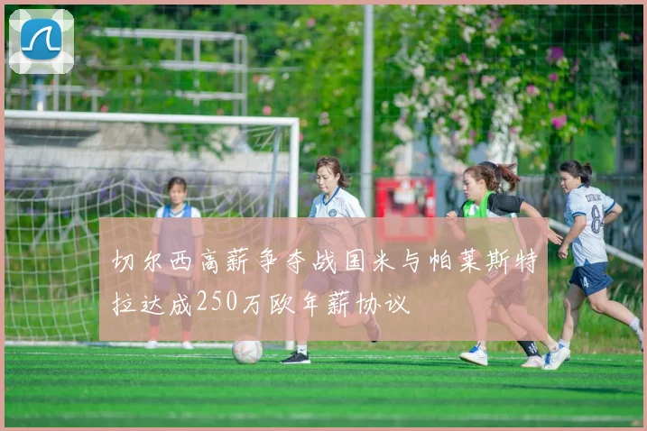 切尔西高薪争夺战国米与帕莱斯特拉达成250万欧年薪协议