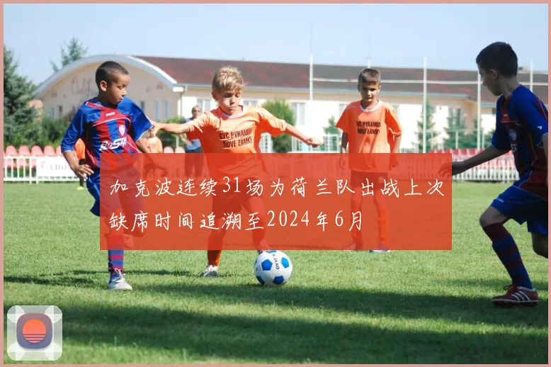 加克波连续31场为荷兰队出战上次缺席时间追溯至2024年6月